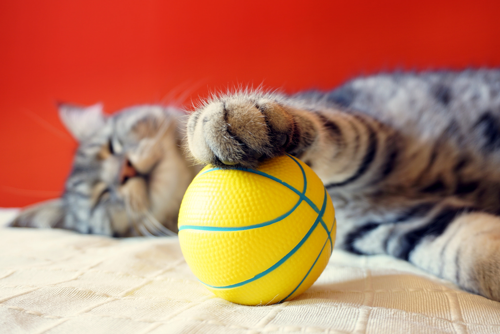 Il mio gioco preferito