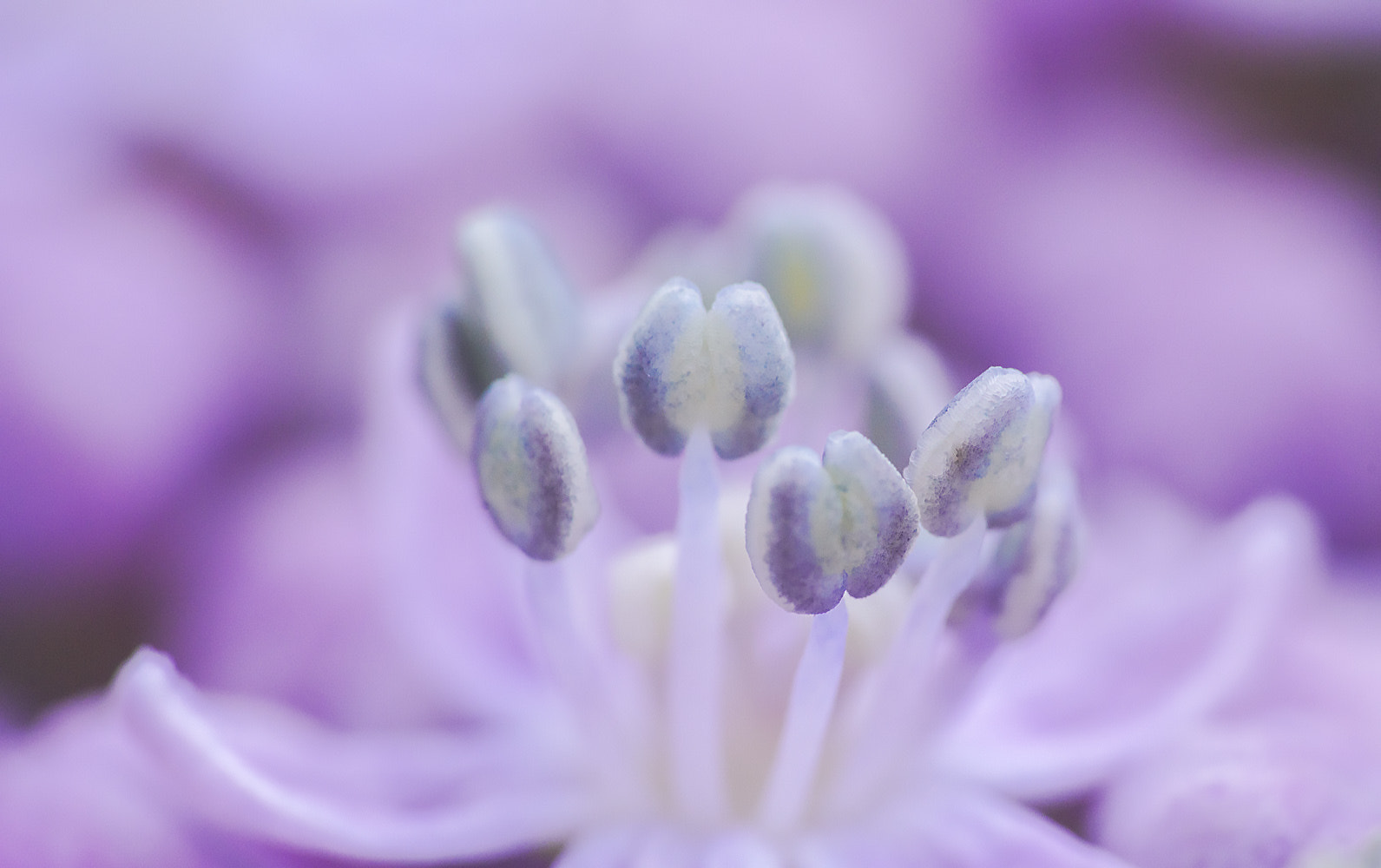 etwas mehr kleines sehen ...