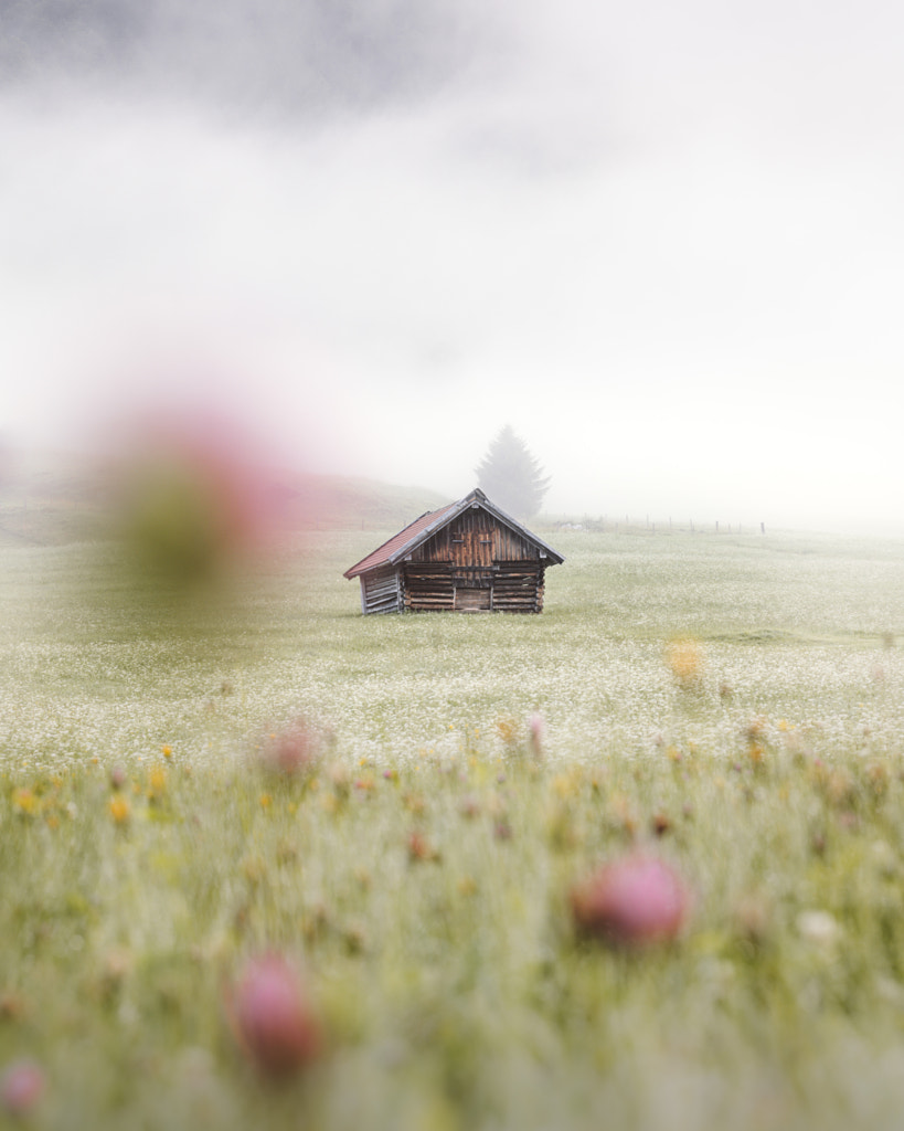 Moody morning by Nora Görlitz on 500px.com