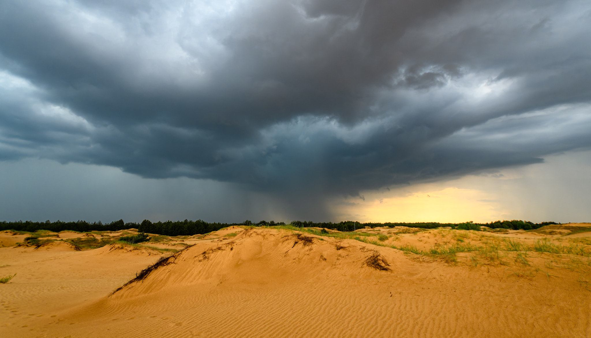 Oleshky Sands and Rain