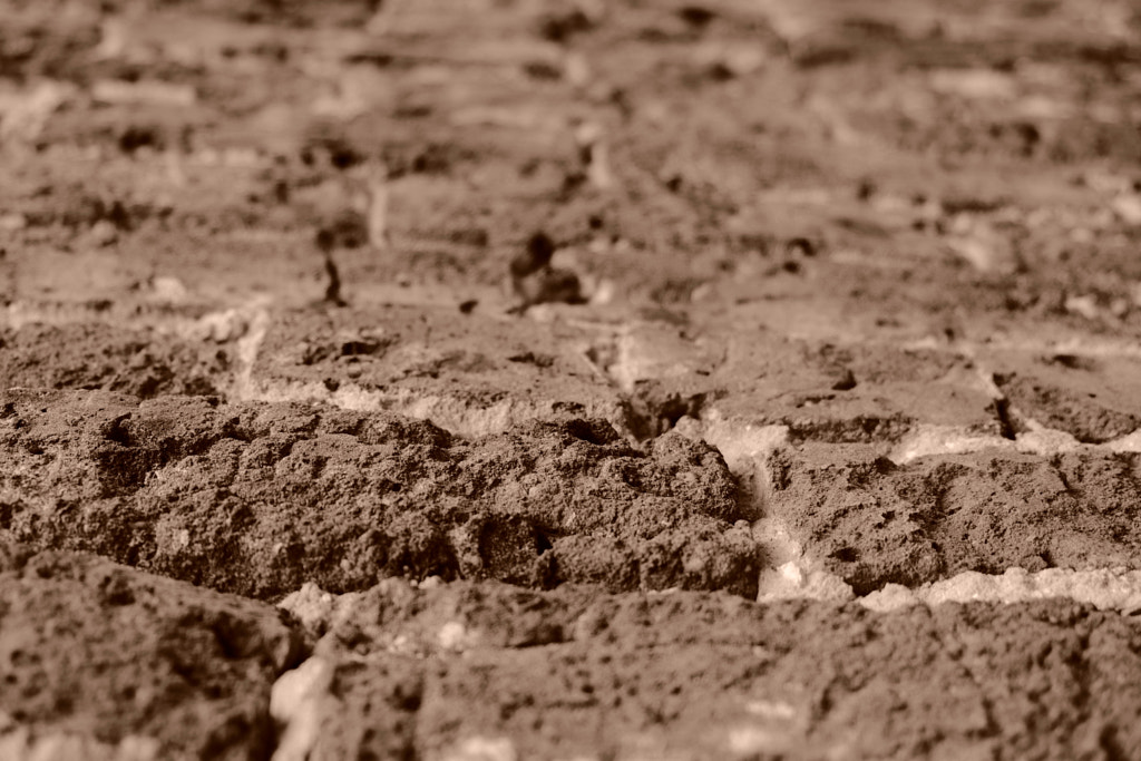 DSCF0698 by Jim Demont on 500px.com