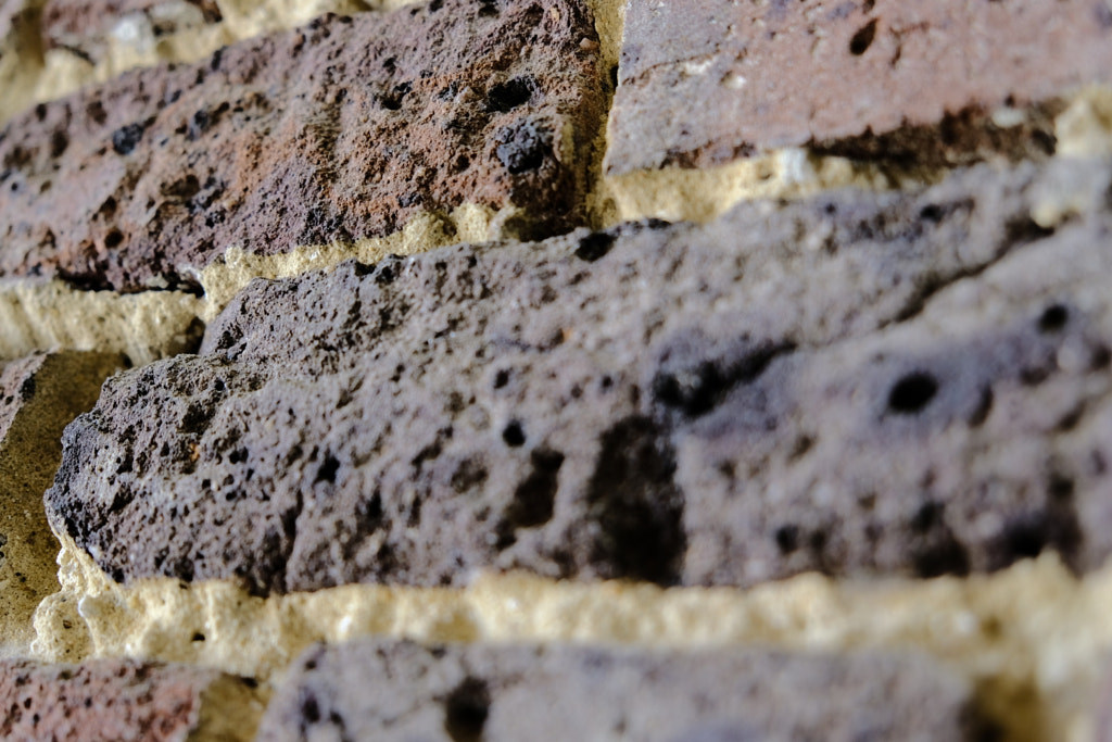 DSCF0696 by Jim Demont on 500px.com