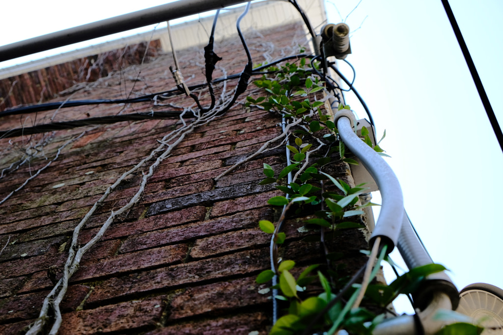 DSCF0707 by Jim Demont on 500px.com