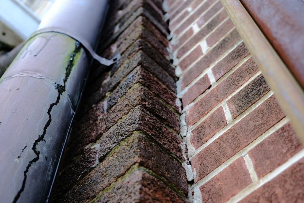 DSCF0680 by Jim Demont on 500px.com