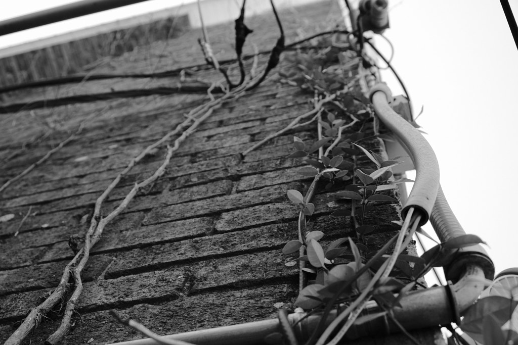 DSCF0708 by Jim Demont on 500px.com