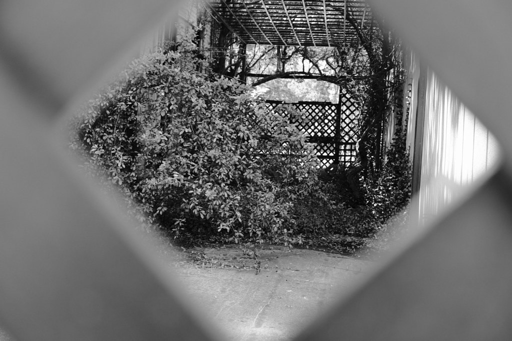 DSCF0714 by Jim Demont on 500px.com