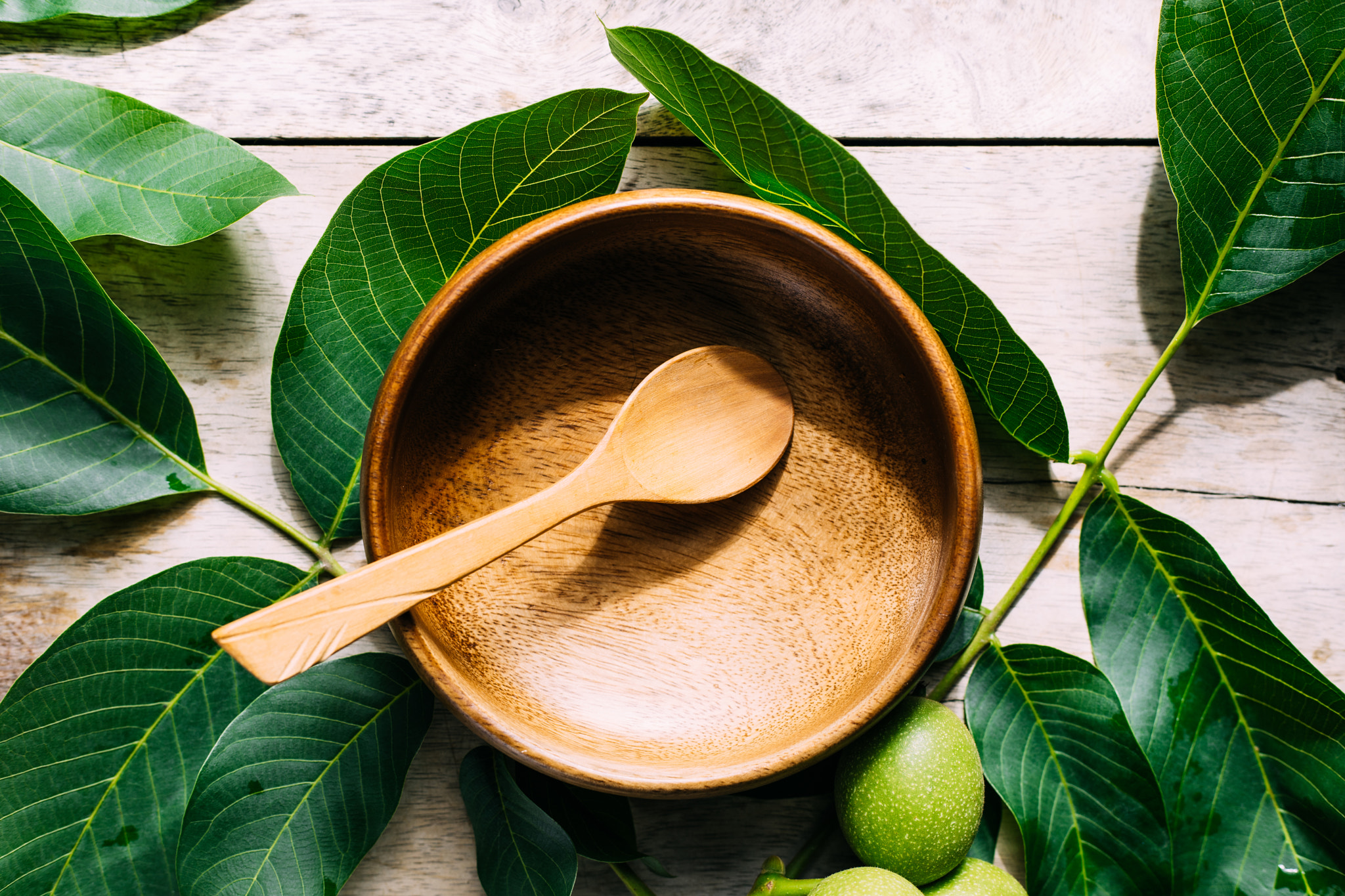 Eco-friendly background. Wooden bowl and green branches