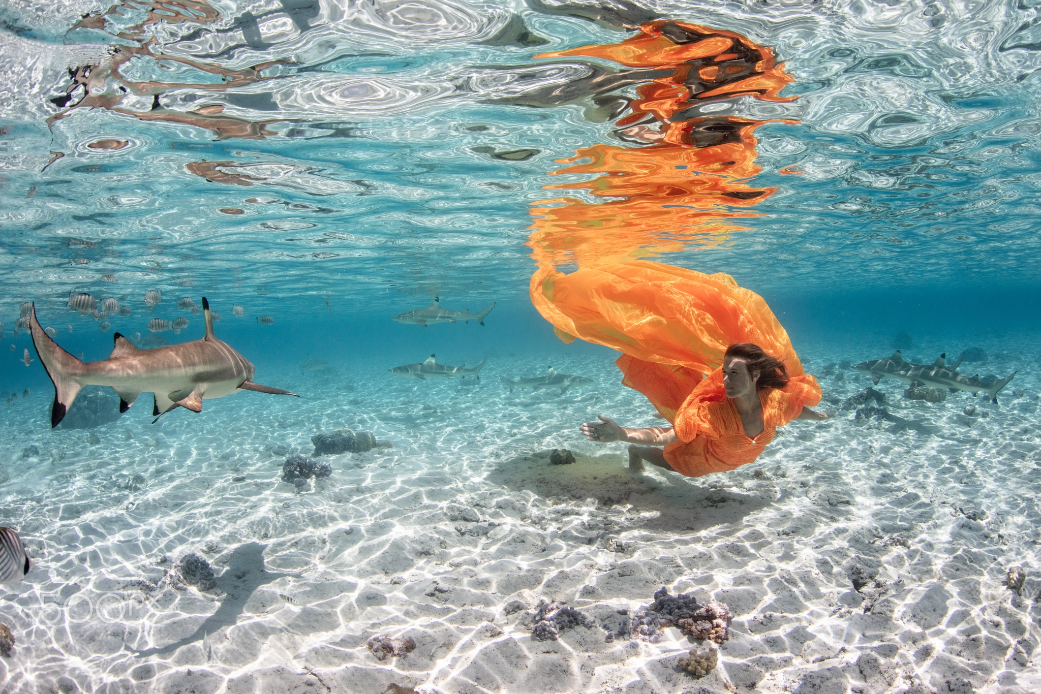 Sophie Aquatic Ballet in Bora Bora