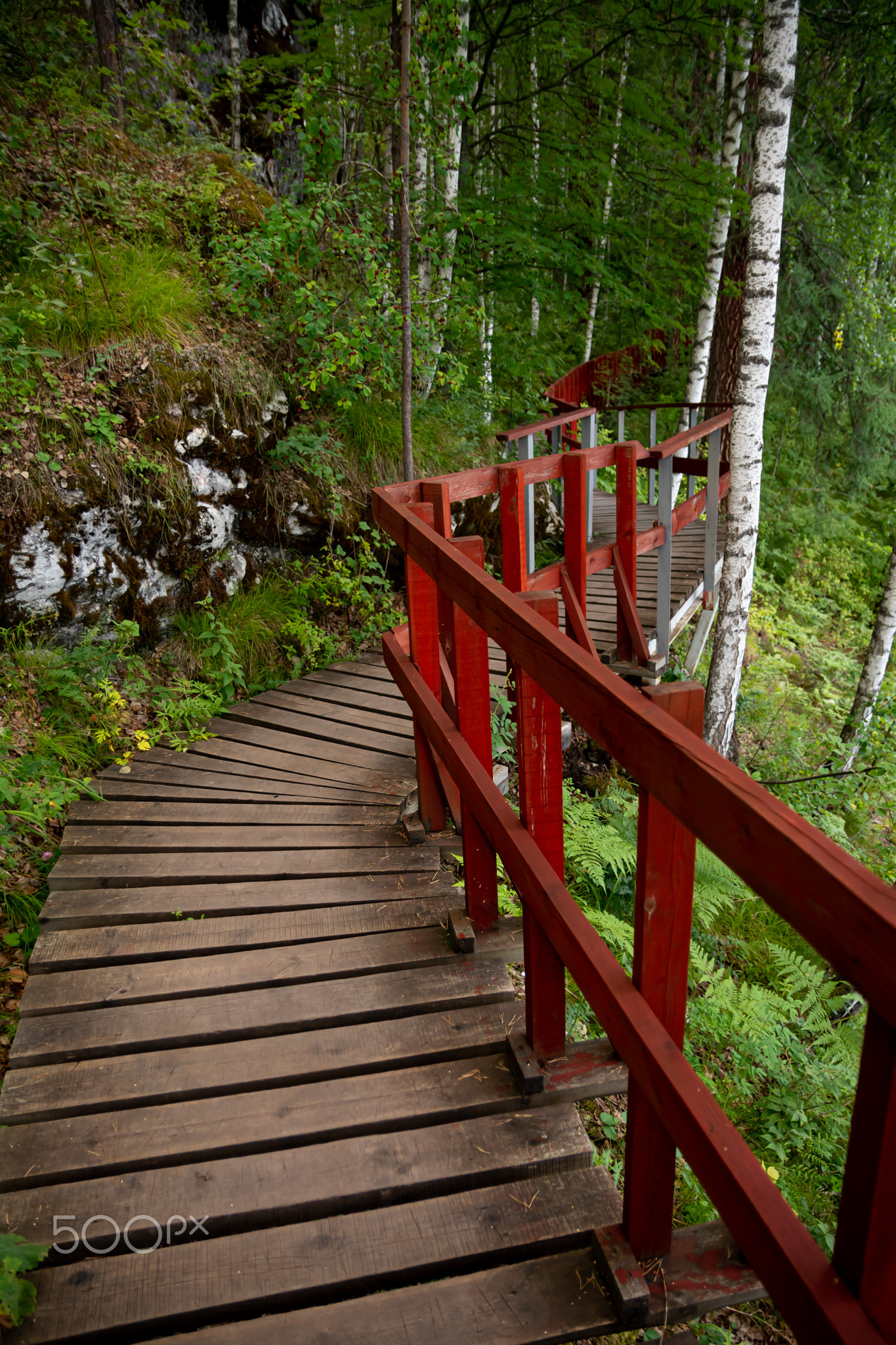 National Park path