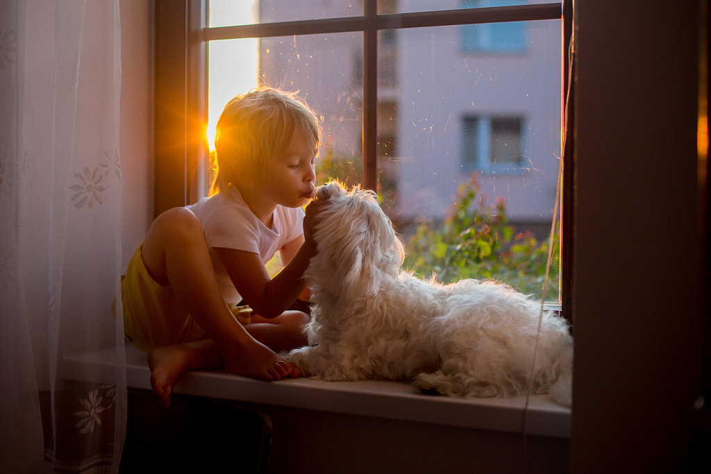  Cute toddler kid, sitting with family pet canine on the window on sunset by Tatyana Tomsickova on 500px. com
