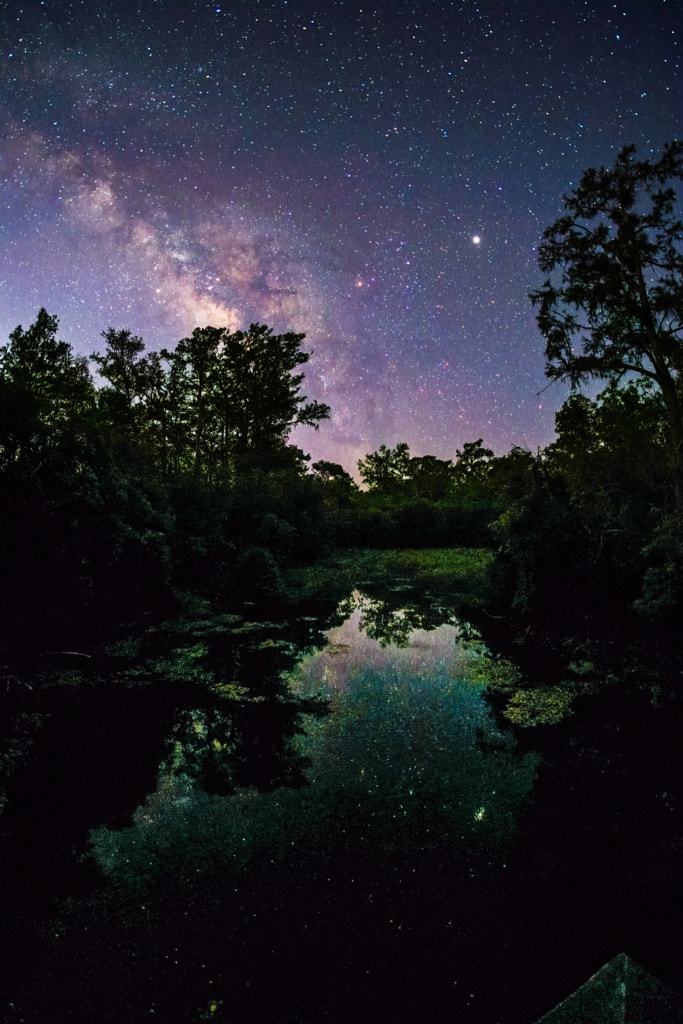 _DSF0078RawEdit by Louis Ferreira on 500px.com