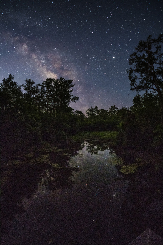 _DSF0078-Stock by Louis Ferreira on 500px.com