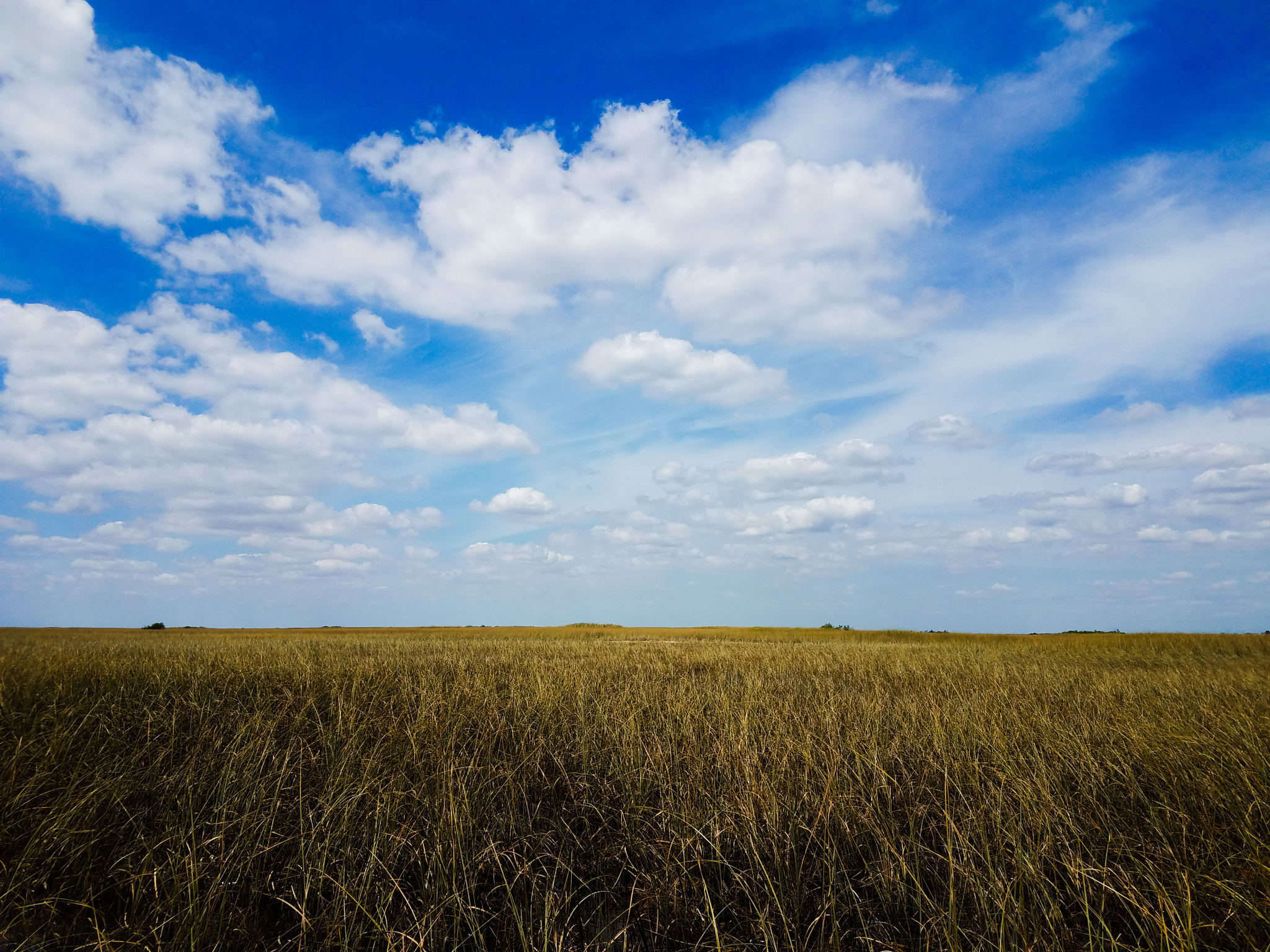 Everglades