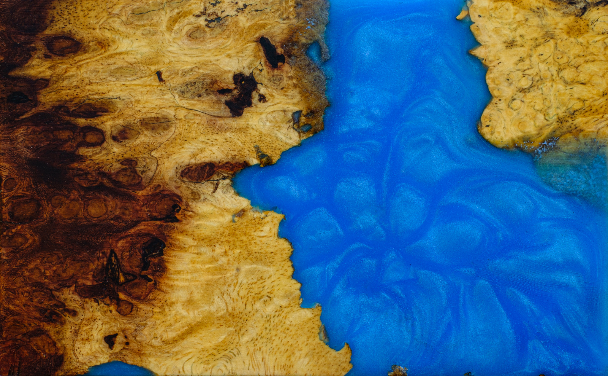 Casting epoxy resin panel with Afzelia burl wood