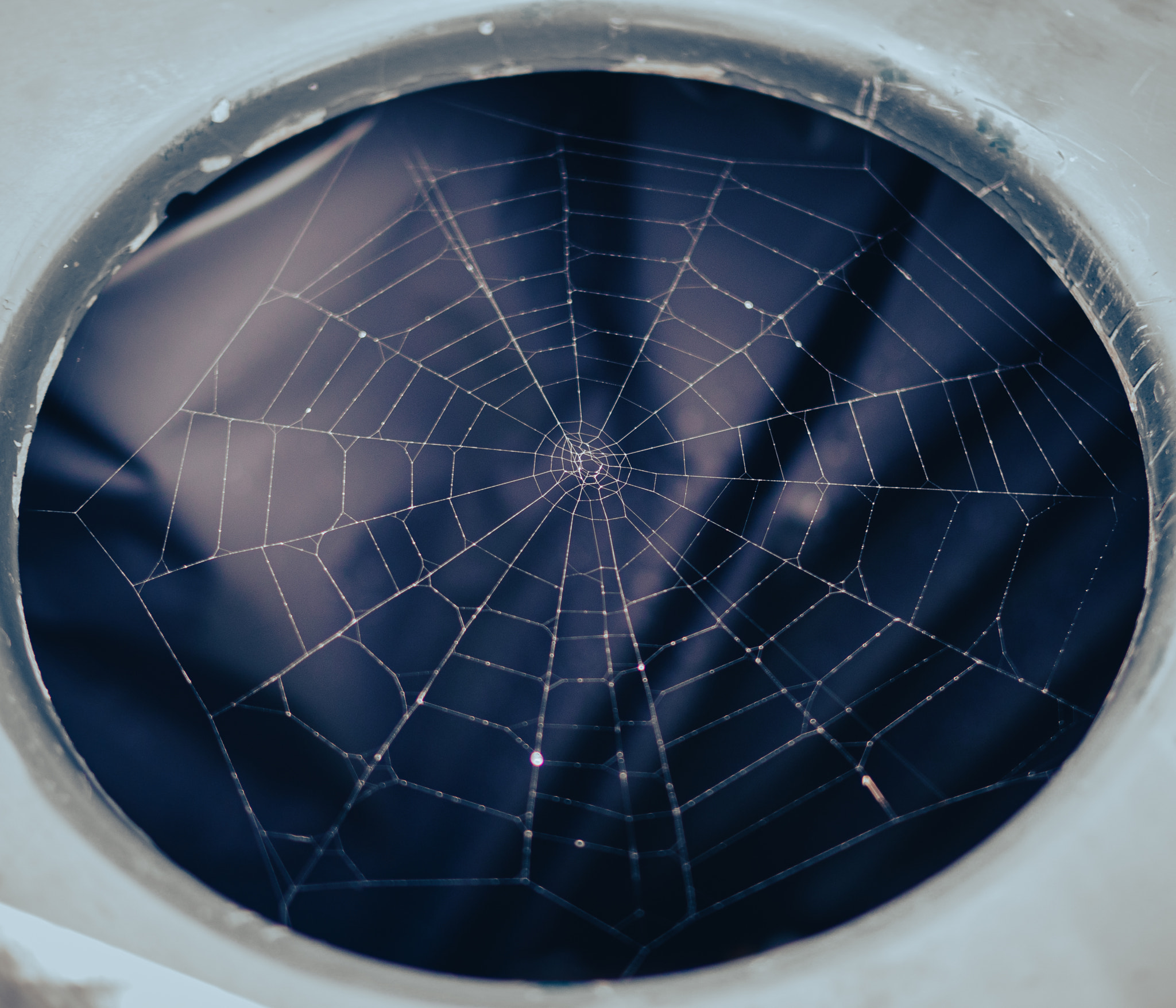 v2?sig=c3e504061d0a7be5a48396c05cea7e7981fe7eb98a72b98c485b3006b81b66a9