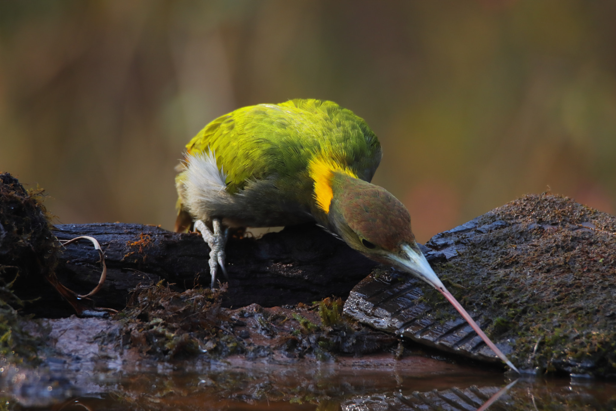 v2?sig=156f16a75ee3d8183b28ee610e7ed53a9