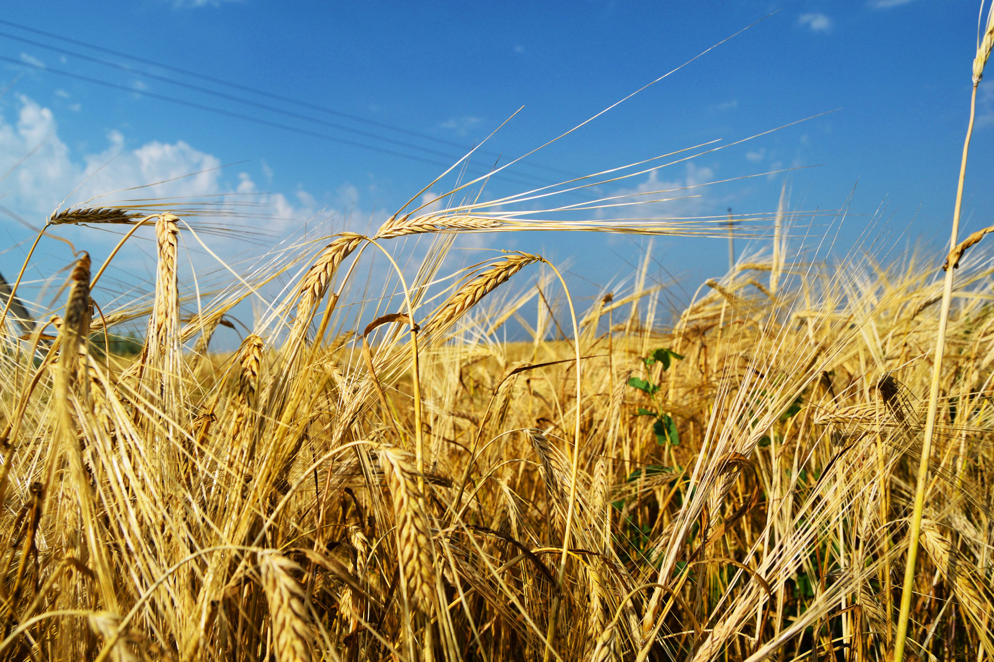 v2?sig=45d668d23ccddd9500d5b9946f35af250644cb2670d2c84a5ea6a17c51712d8c