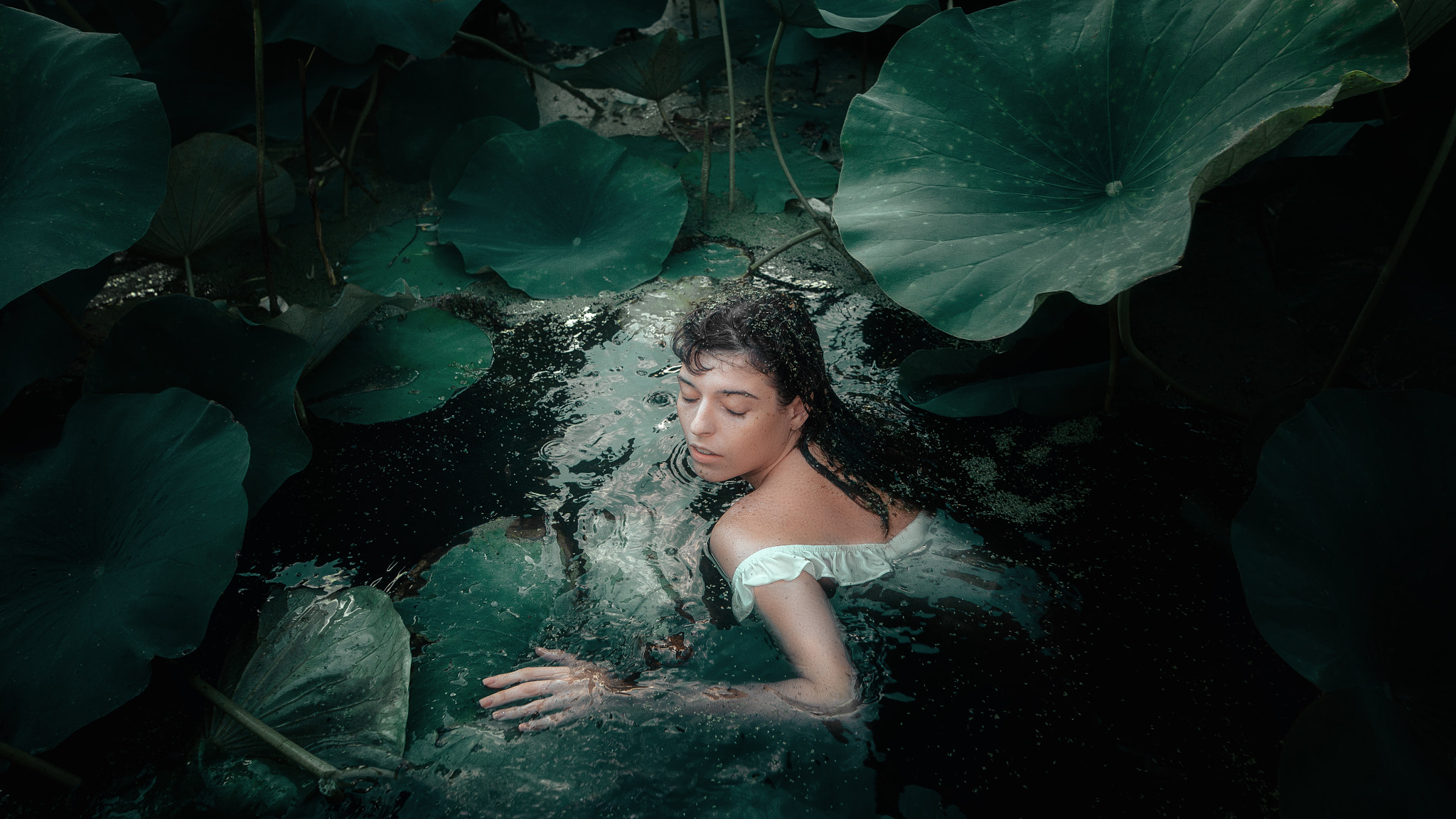 v2?sig=095fb8ddad8e4993577281df80cbc4471