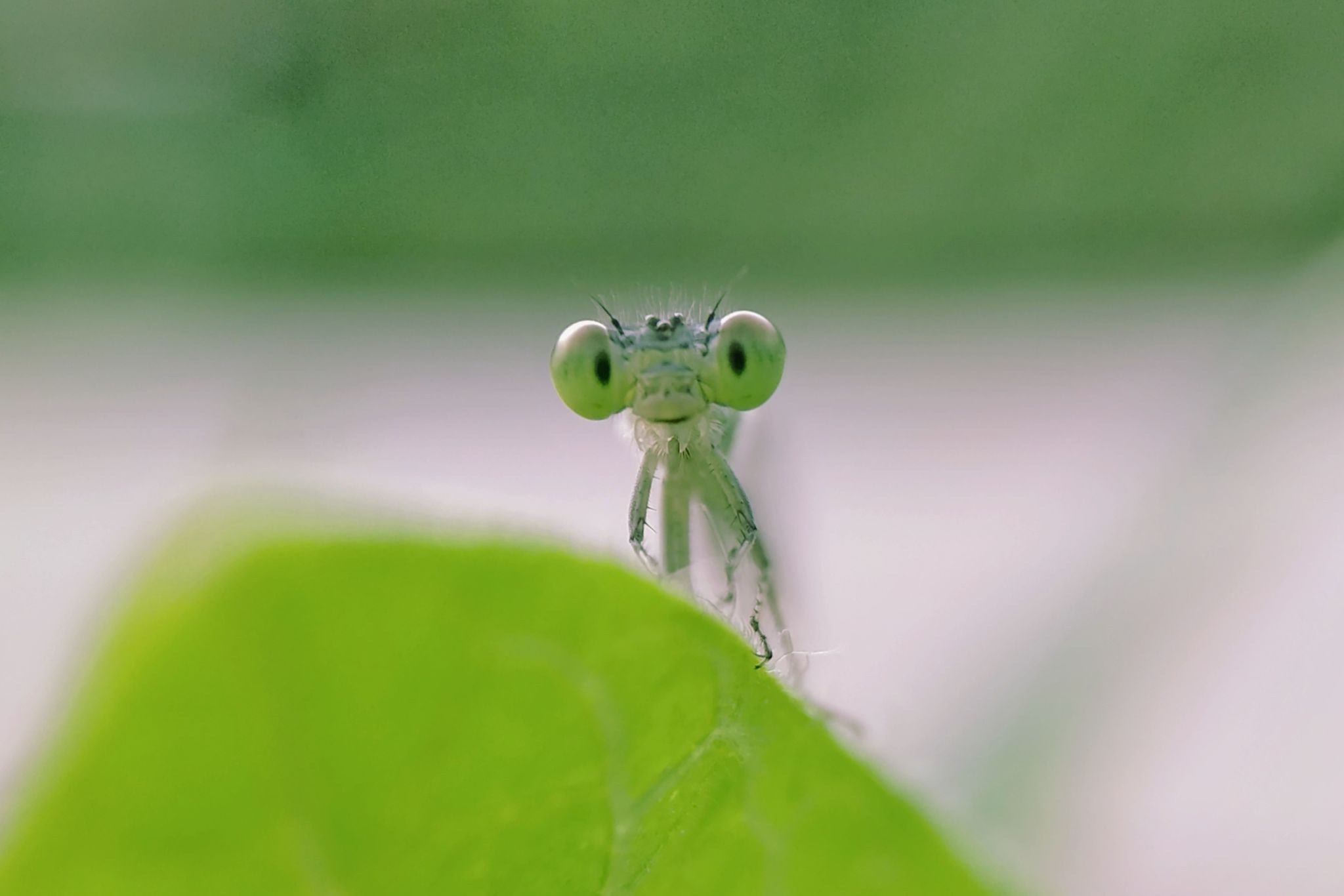 v2?sig=37bbdf0eda196f67712d2c6043daae48d