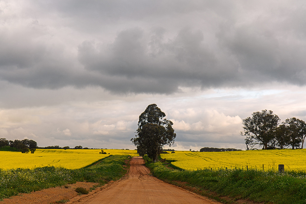 Helena Road by Paul Amyes on 500px.com