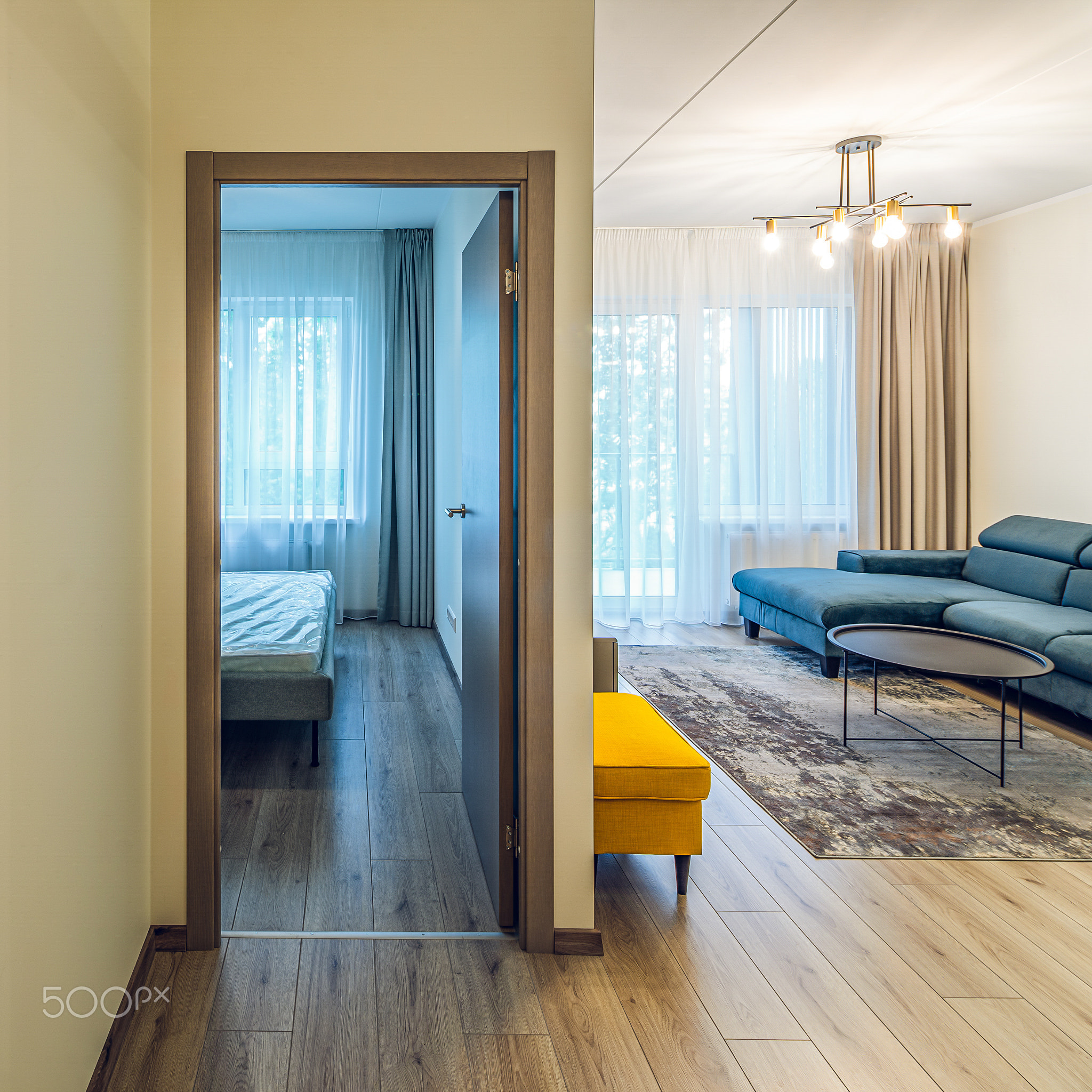 Modern light interior of living room in sapartment. Closed door.
