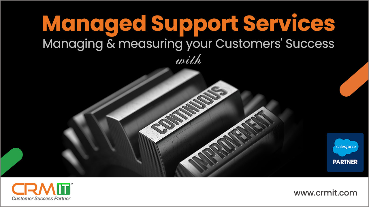 Managed Services for Salesforce ecosystem