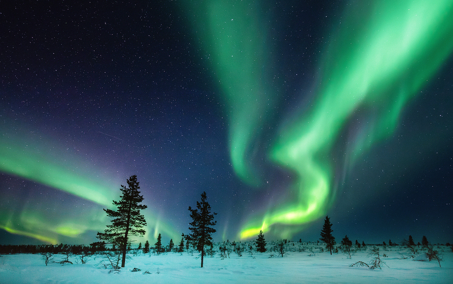 Nordic Firework By Carsten Meyerdierks   500px