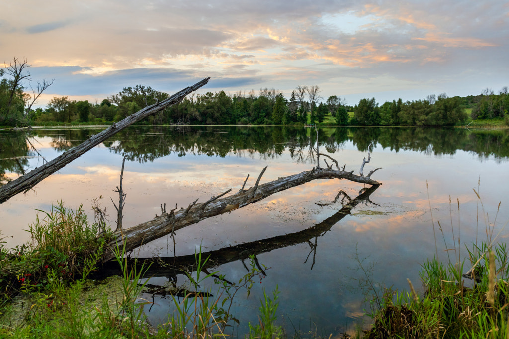 Mud Lake by Kevin Gilbert / 500px