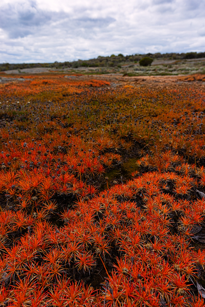 Christmas Rock by Paul Amyes on 500px.com
