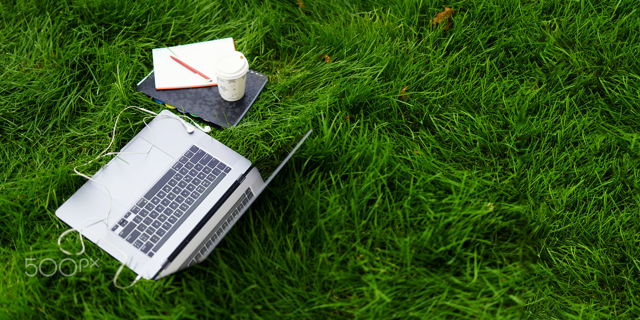 Elements of work or study on the grass, outdoors: an open laptop, a