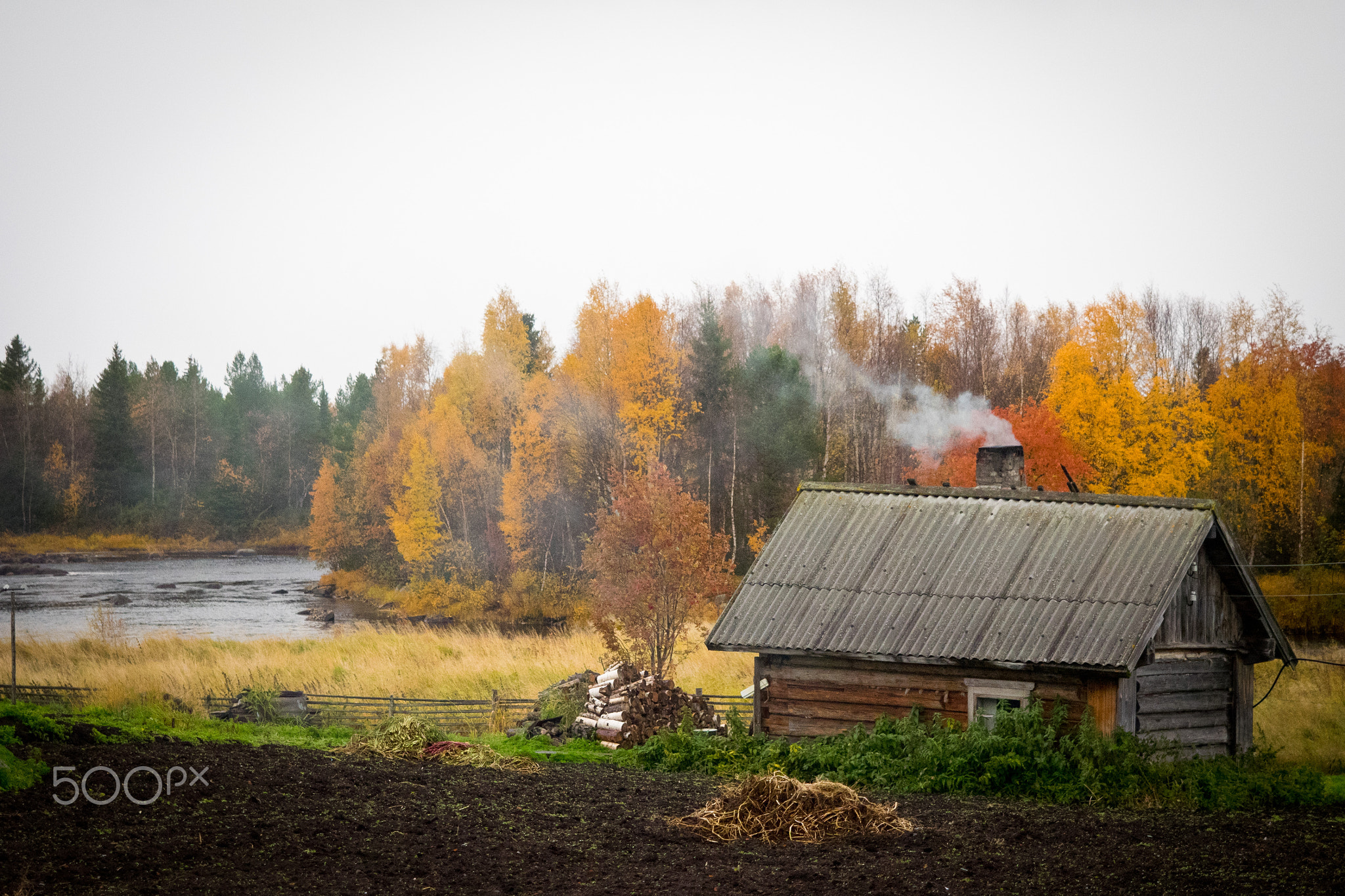 Old house in the autumn village, smoking pipe, overcast, foliage