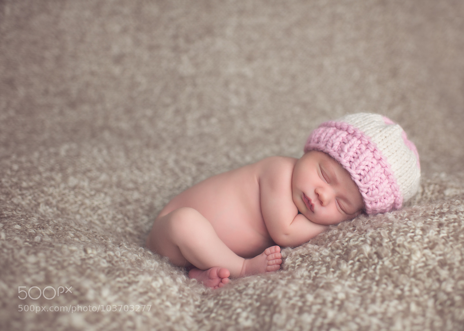 Nikon D800 sample photo. 4 photography