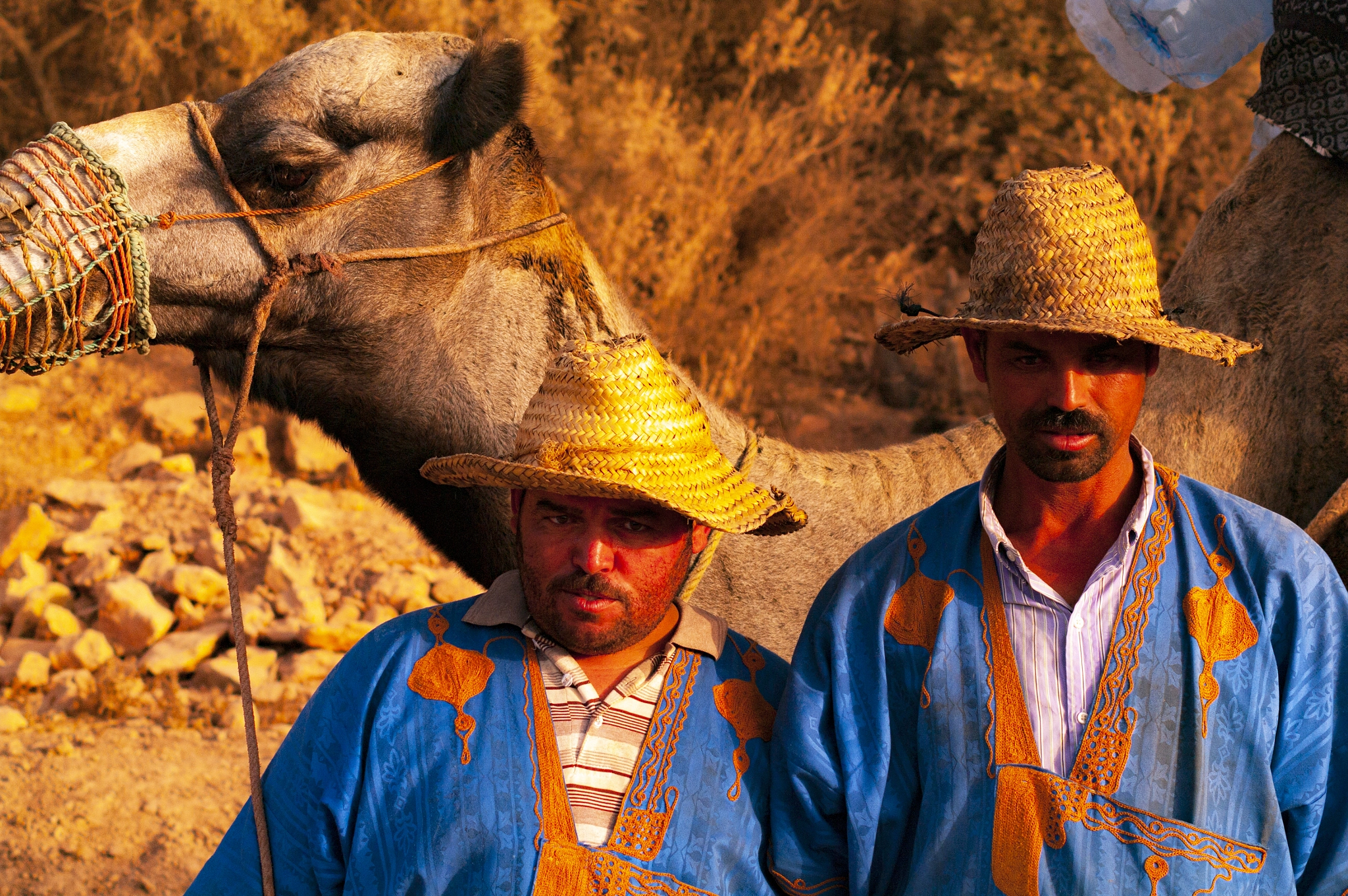 v2?sig=1ca3579a2991f353202bb488e5f085435ebdc2534505e6b2b86c995bdc63e694