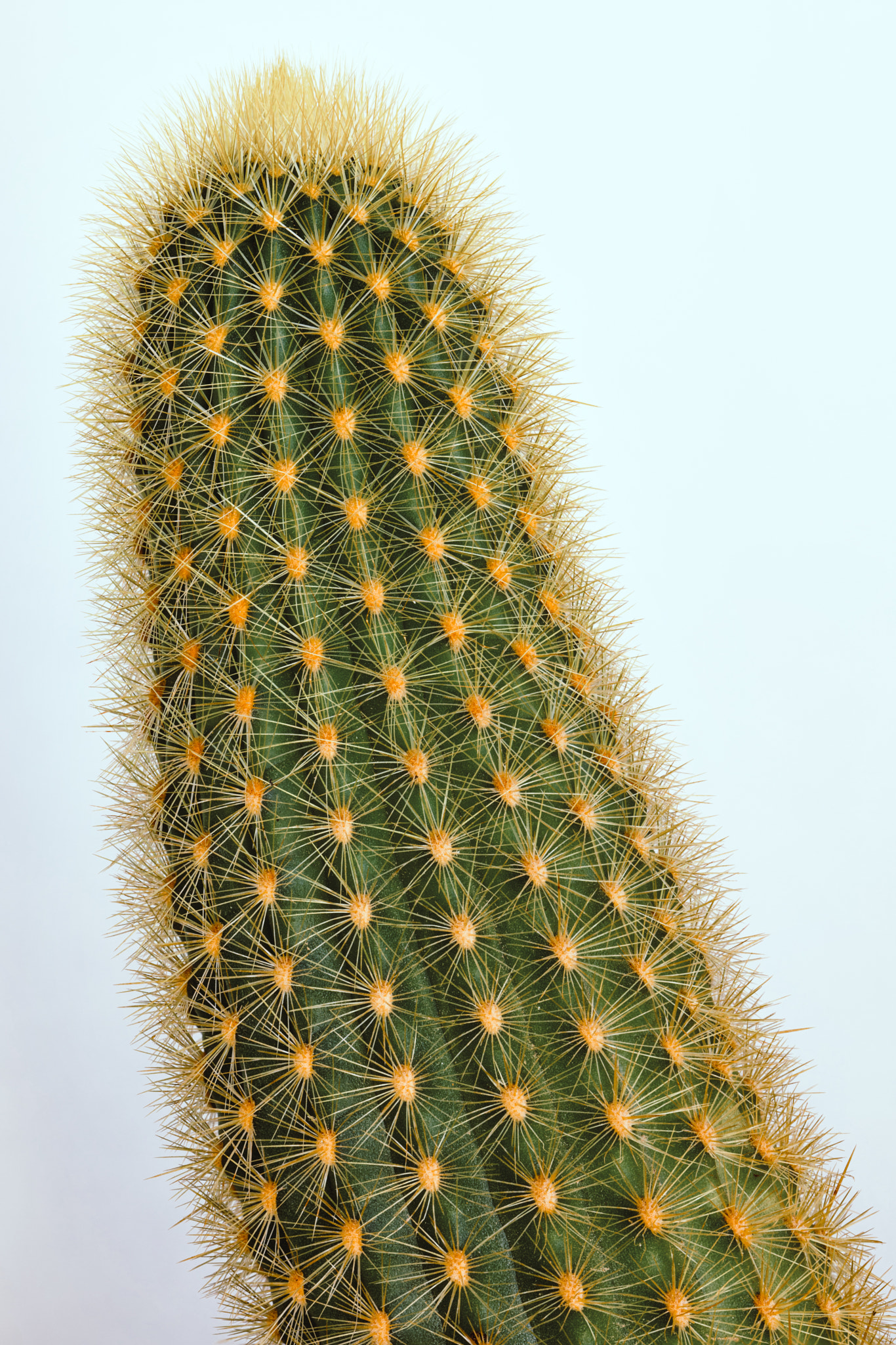 v2?sig=8b21296a0495fa9a8795bf40a2f3222556ed70ce3fdab467a7768229939806e6