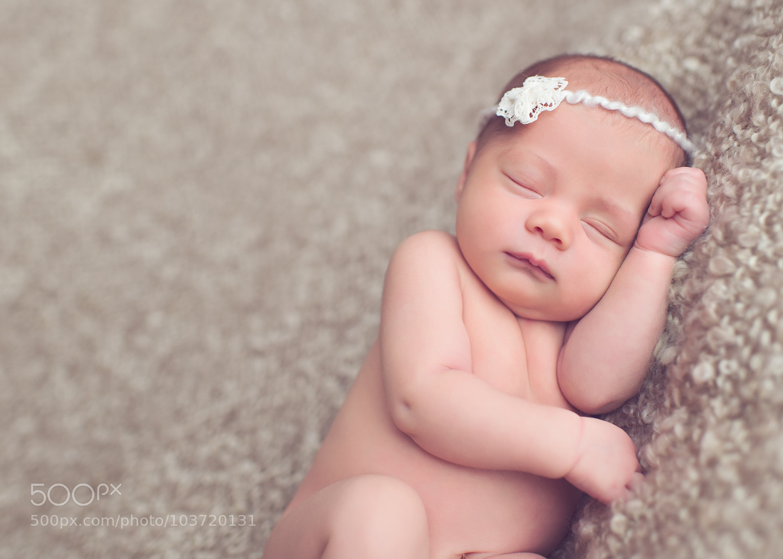 Nikon D800 sample photo. 1 photography