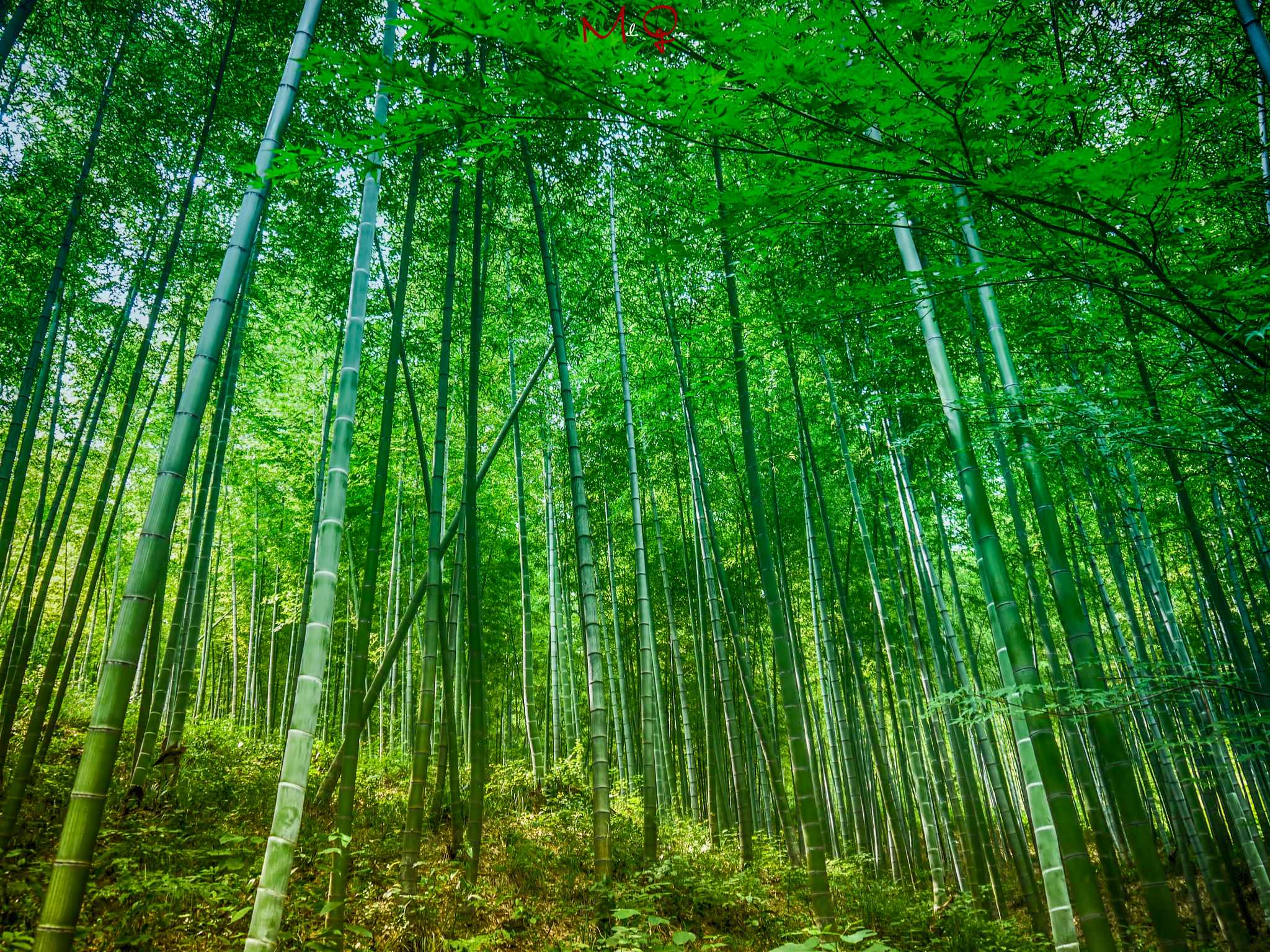 v2?sig=67c01489c0ae3de4c11676fa147e24f95d1d5999612b6687709501f312ccec28