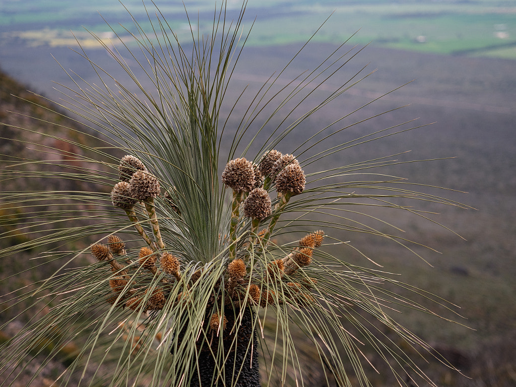 The Ascent of Mount Trio by Paul Amyes on 500px.com