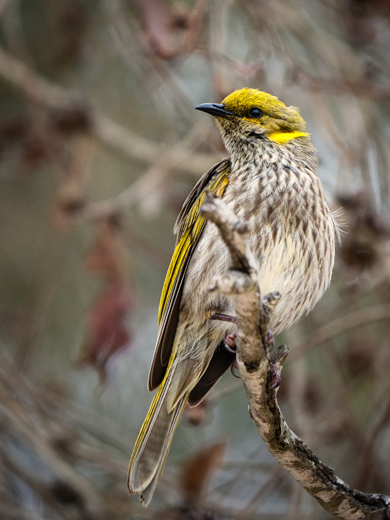 Miamit by Paul Amyes on 500px.com