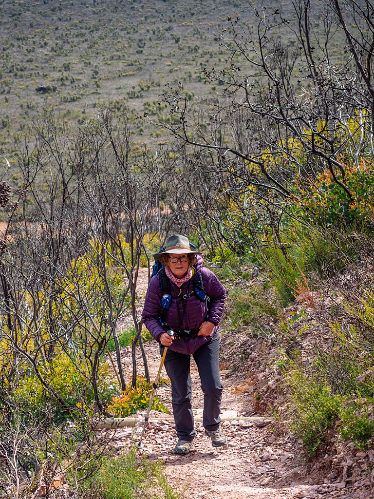 The Ascent of Mount Trio by Paul Amyes on 500px.com