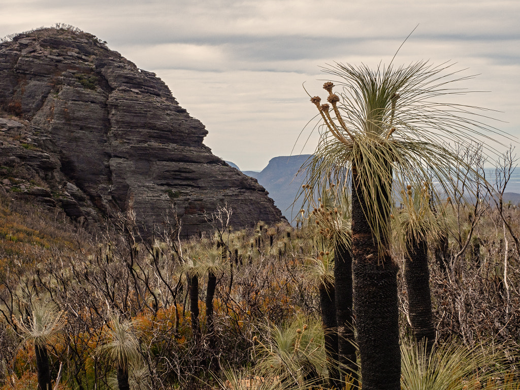 The Ascent of Mount Trio by Paul Amyes on 500px.com