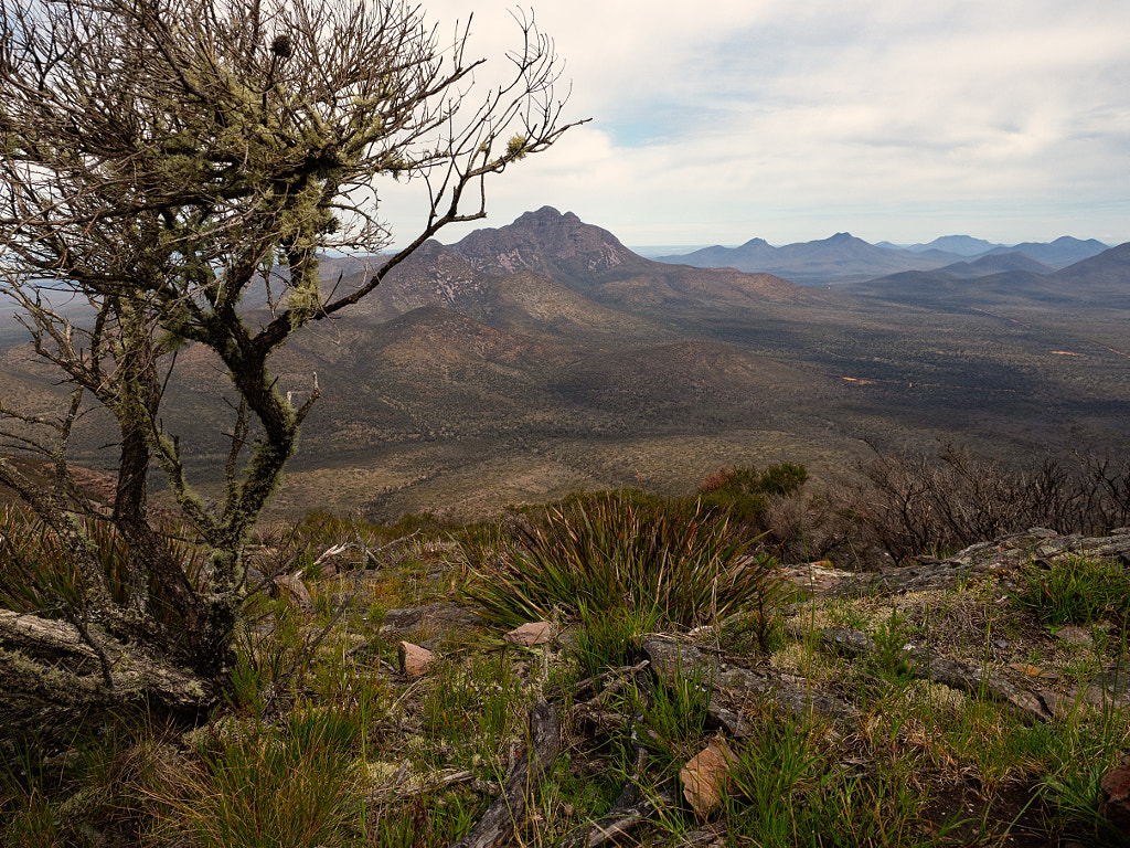 The Ascent of Mount Trio by Paul Amyes on 500px.com