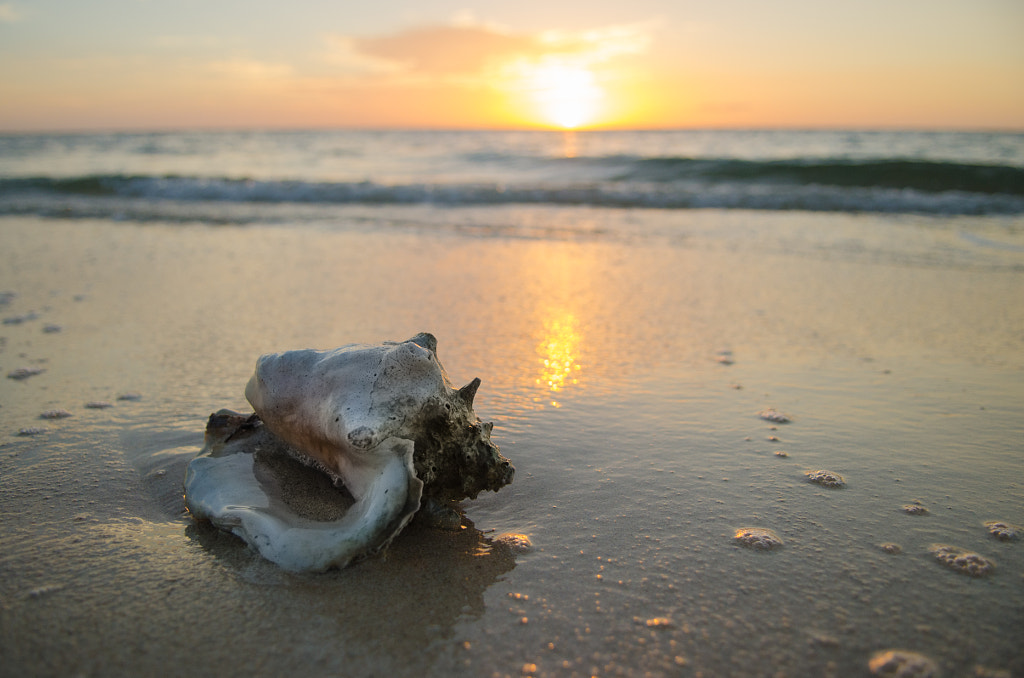 Sunset relax by Dmitry Starostenkov on 500px.com