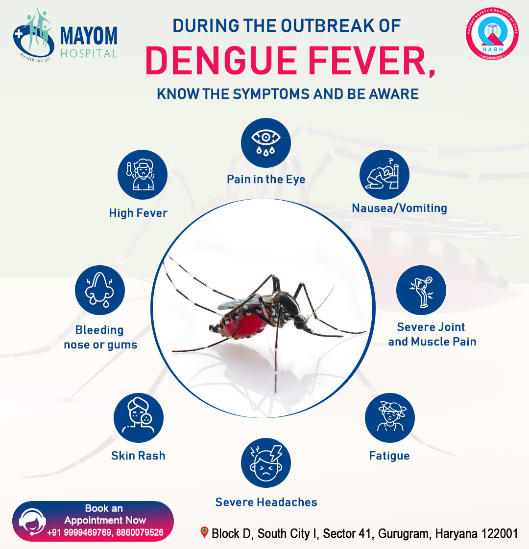 Dengur Fever Symptoms