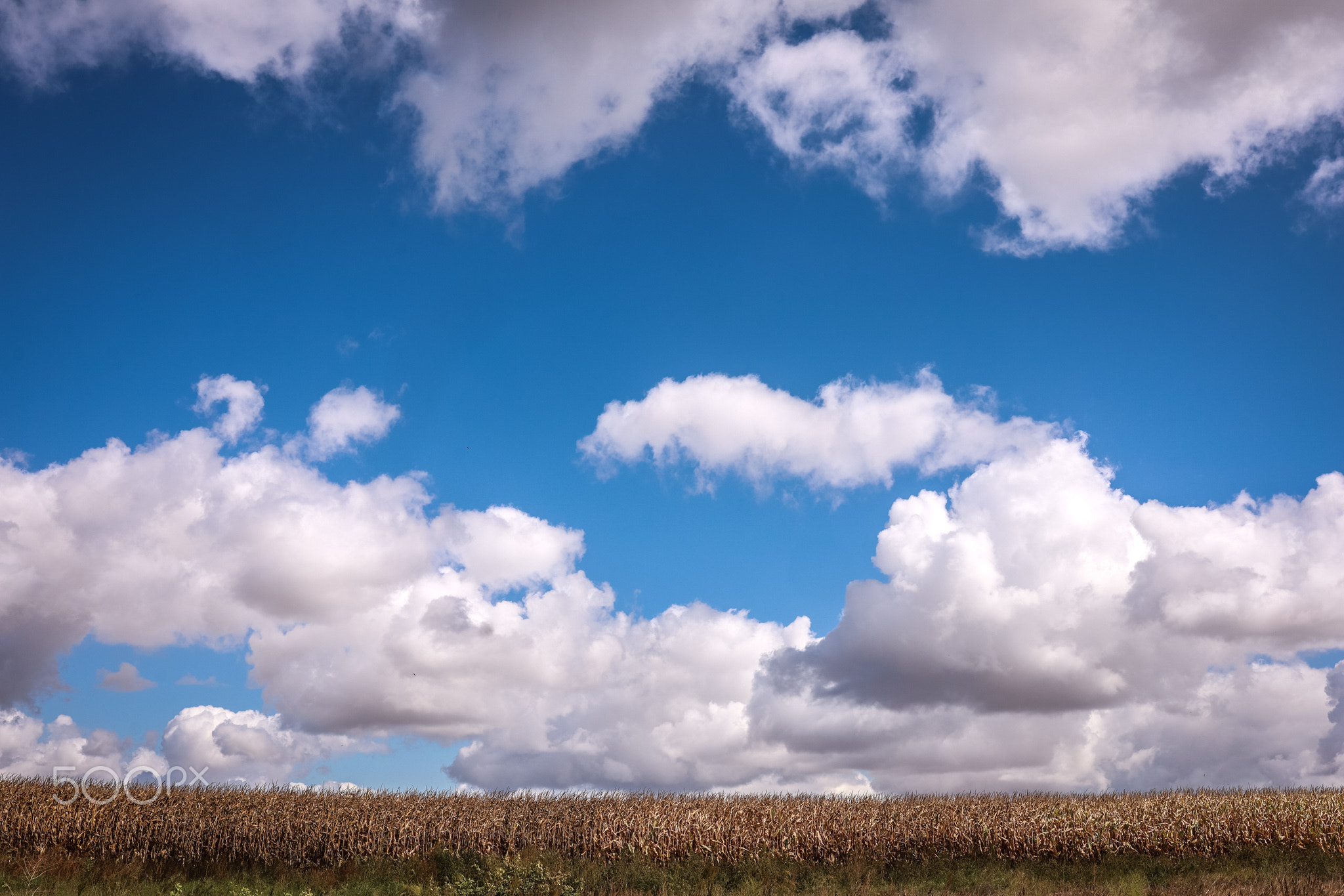 Alentejo