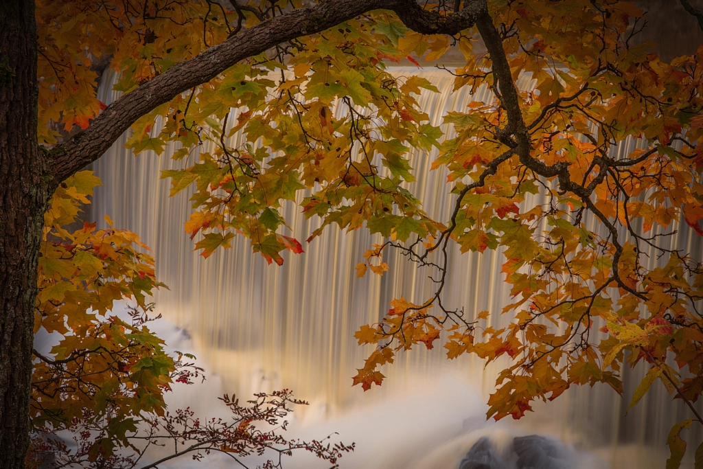 Autumn colors in front of a waterfall by Kirsti Ringhög / ⓅⒽⓄⓉⓄⓈ  ⒷⓎ  ⓀⒾⓇⓈⓉⒾ on 500px.com