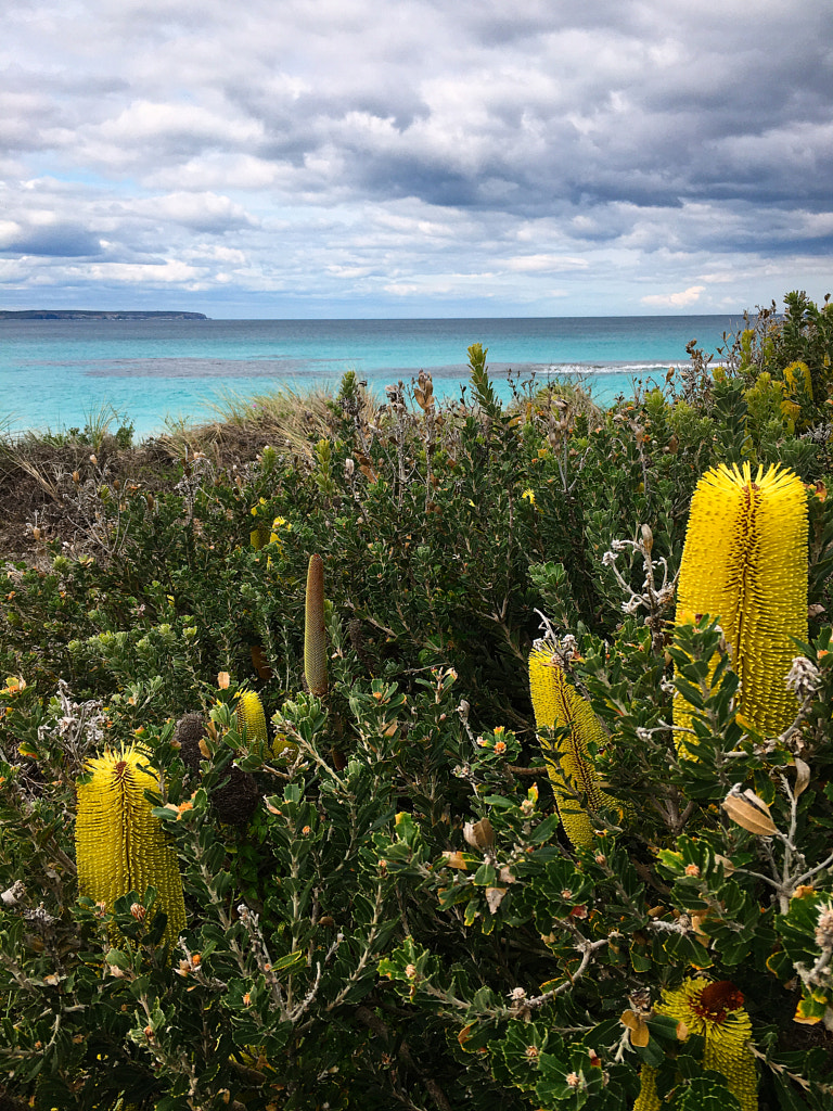 Bremer Bay by Paul Amyes on 500px.com