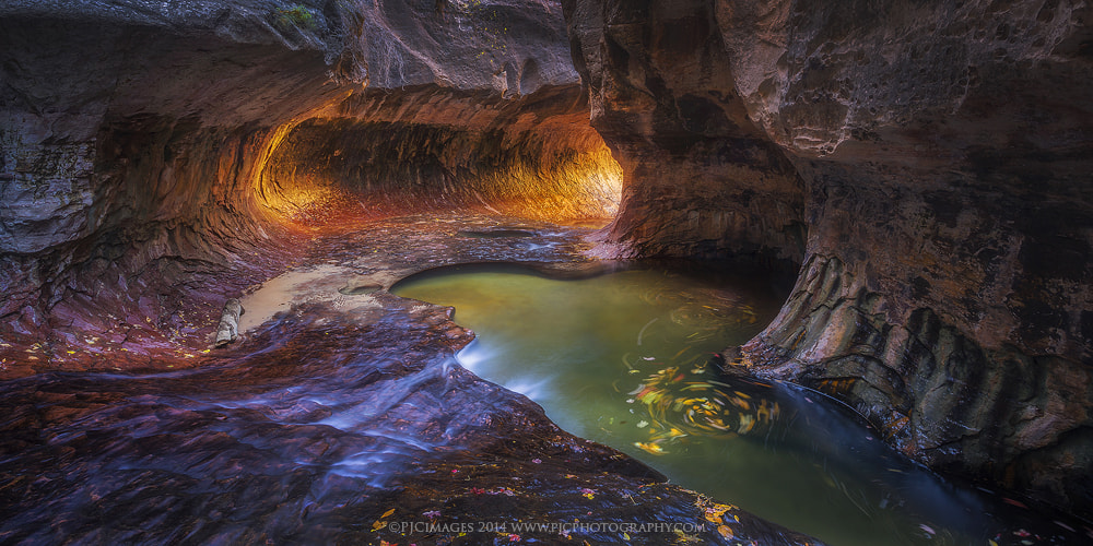 Follow the Light by Peter Coskun Nature Photography  on 500px.com
