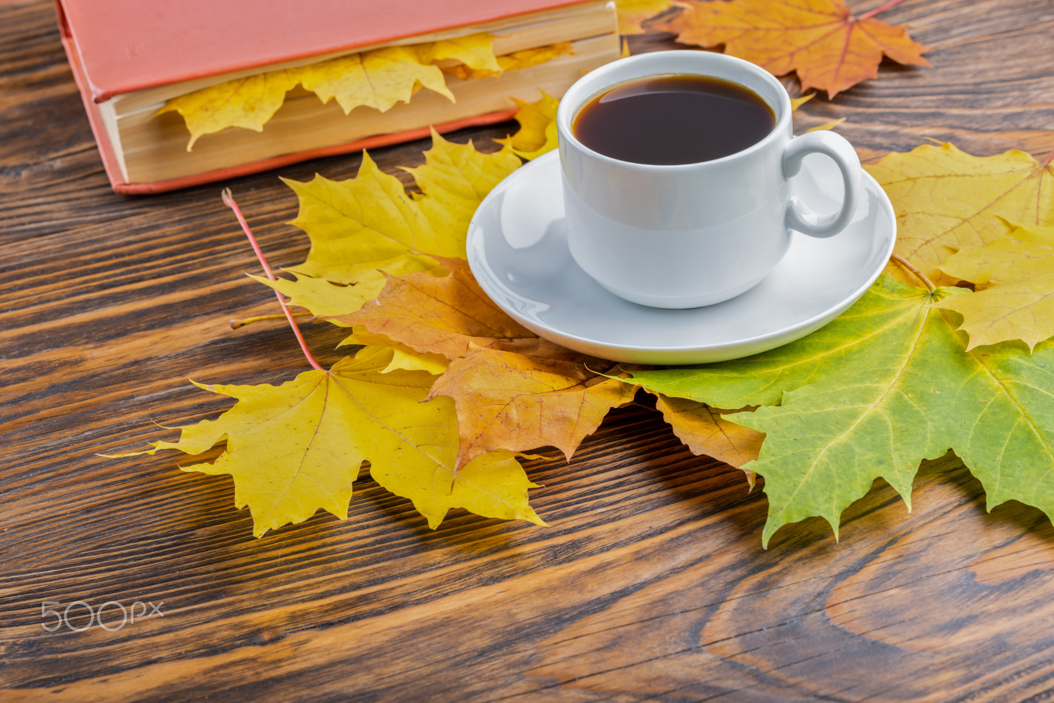 coffe cup on wooden table with book and colorful autumnal maple leaves