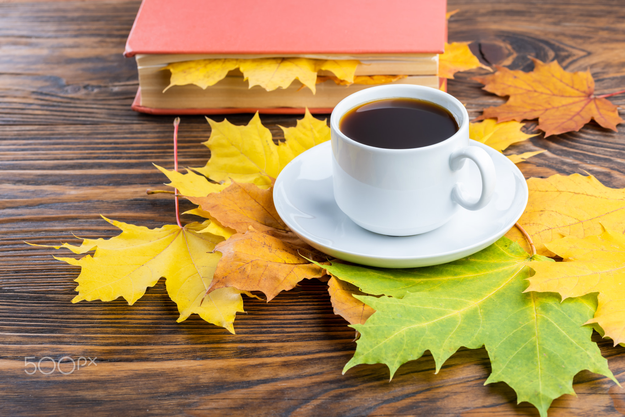 coffe cup on wooden table with book and colorful autumnal maple leaves