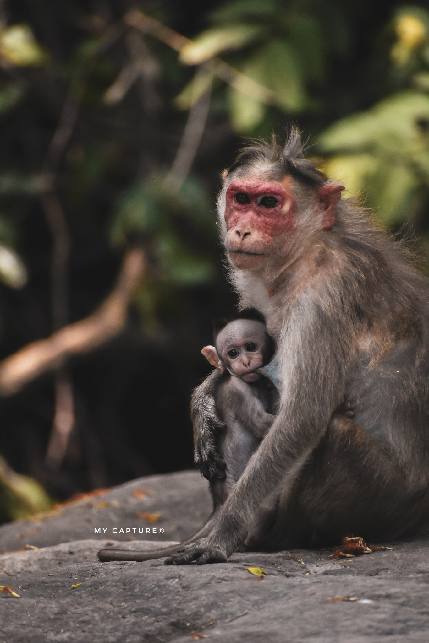 Motherhood ❤️